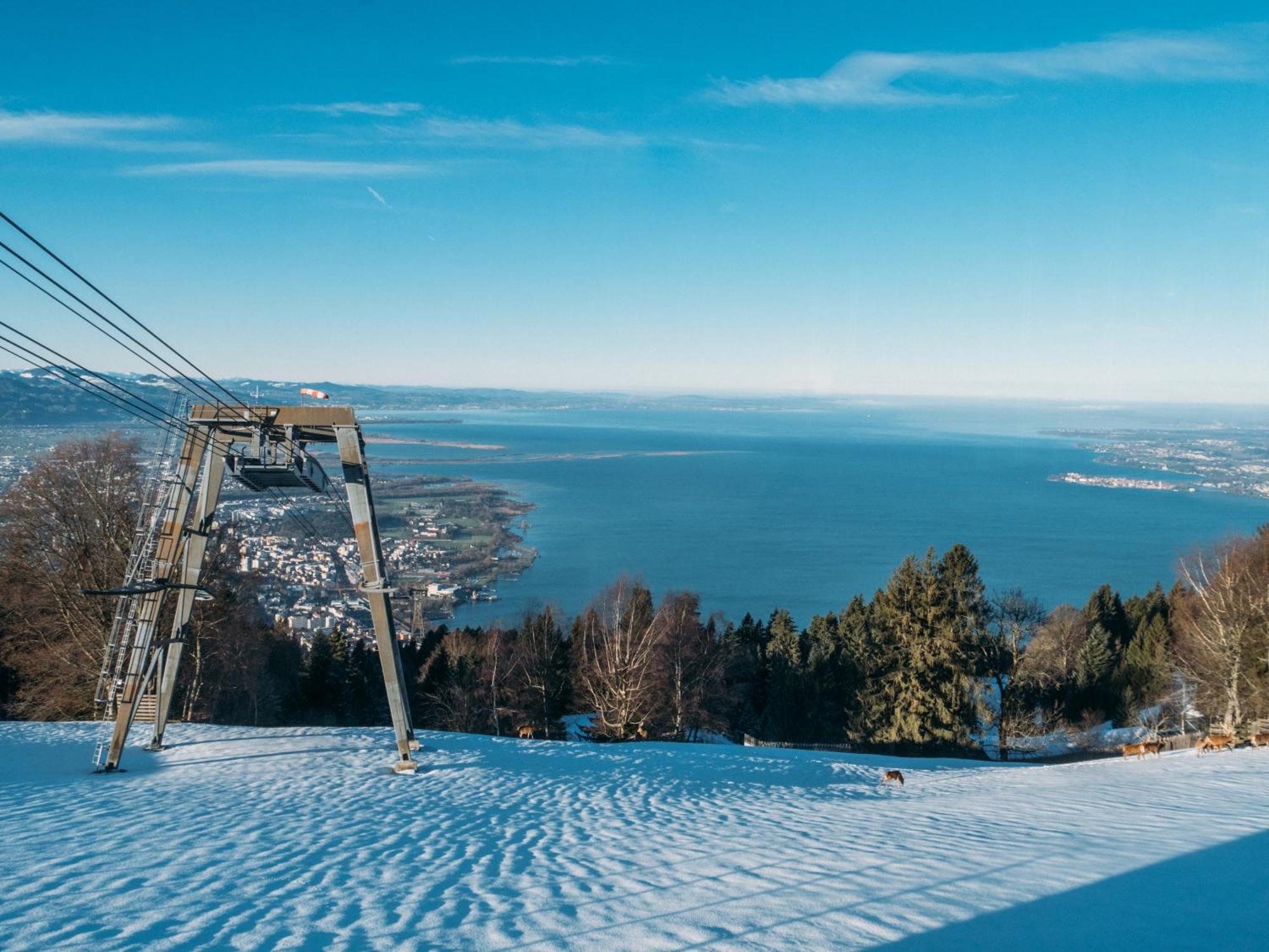 Seeblick Bregenz - Mit Parkgarage Buitenkant foto