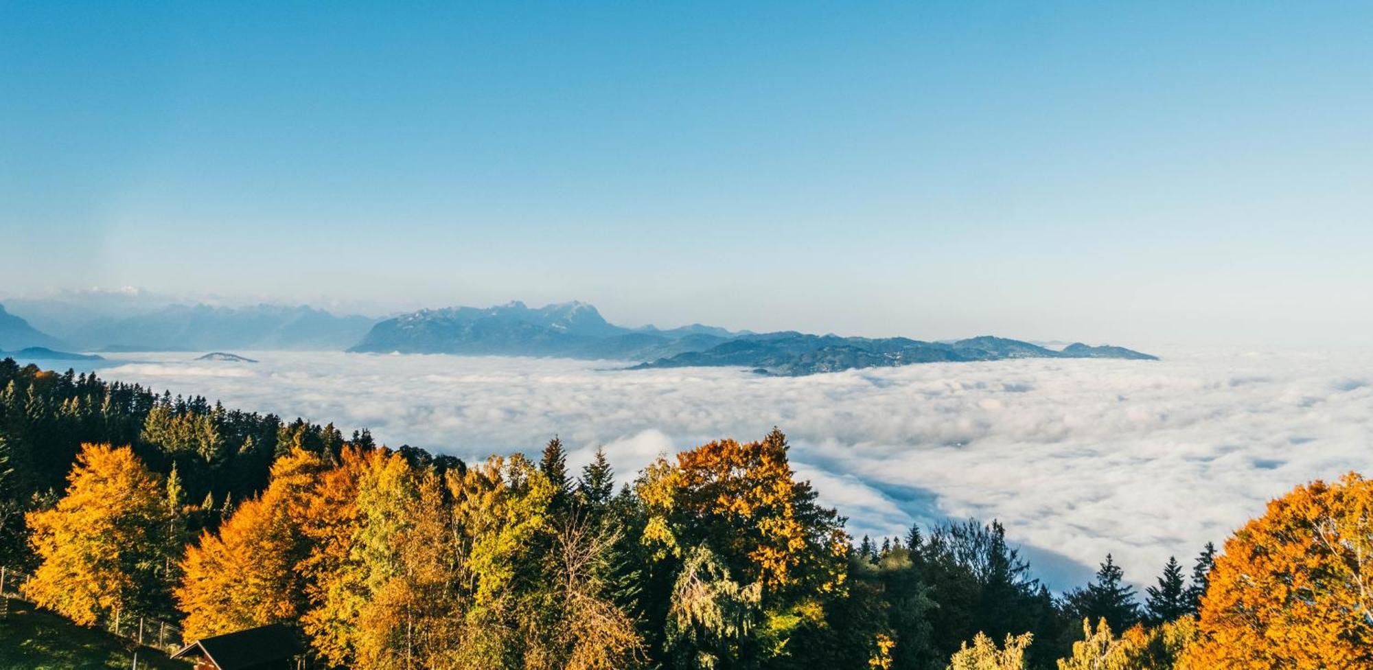 Seeblick Bregenz - Mit Parkgarage Buitenkant foto
